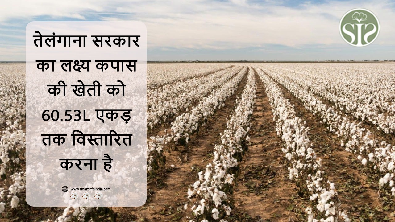 तेलंगाना सरकार का लक्ष्य कपास की खेती को 60.53L एकड़ तक विस्तारित करना है