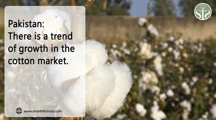 Pakistan: The uptrend continues in the cotton market