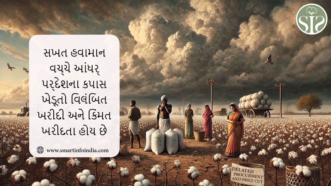 આંધ્રપ્રદેશના કપાસના ખેડૂતો કઠોર હવામાન વચ્ચે વિલંબિત ખરીદી અને ભાવમાં ઘટાડાથી ઝઝૂમી રહ્યા છે