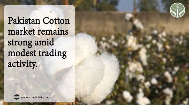 Pakistan: Cotton market: Strong trend amid modest trading activities