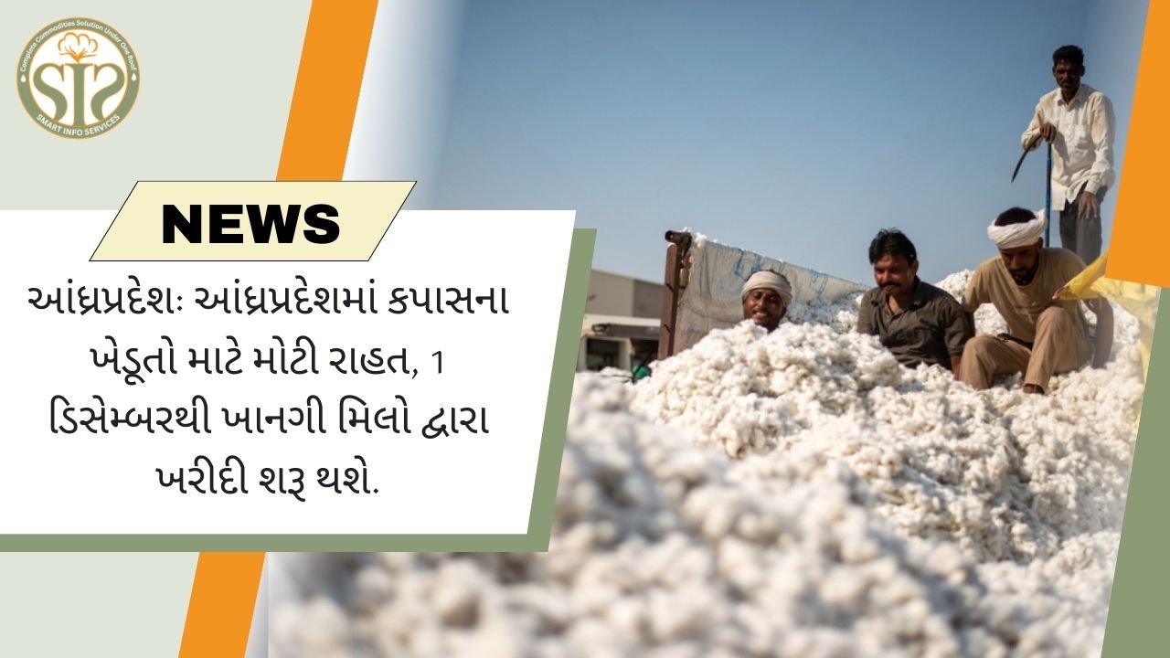 આંધ્રપ્રદેશમાં કપાસના ખેડૂતો માટે રાહત: ખાનગી મિલો ૧ ડિસેમ્બરથી કપાસની ખરીદી કરશે