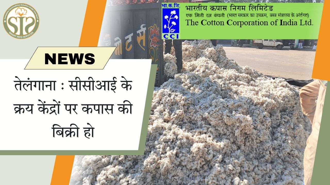 तेलंगाना: सीसीआई केंद्रों पर कपास बिक्री शुरू