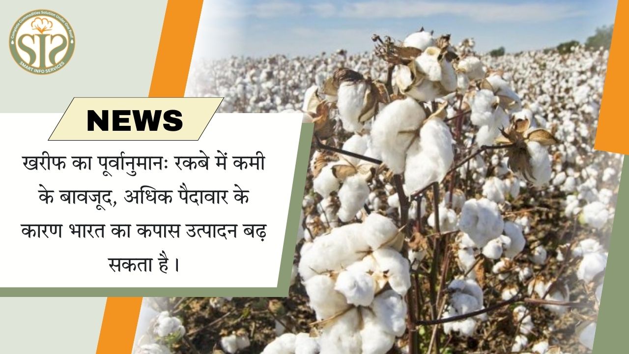 खरीफ का पूर्वानुमान: रकबे में कमी के बावजूद, अधिक पैदावार के कारण भारत का कपास उत्पादन बढ़ सकता है।