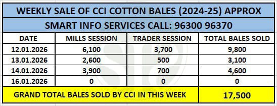 CCI increased cotton prices, weekly sales 17,500 bales