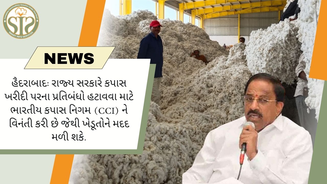 રાજ્ય સરકારે CCI ને કપાસ ખરીદી પરનો પ્રતિબંધ ઉઠાવી લેવા જણાવ્યું