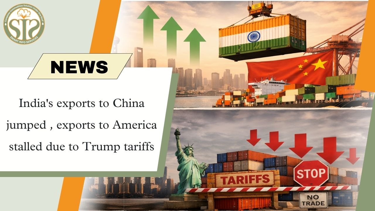 US market slow, India's hold in China strong