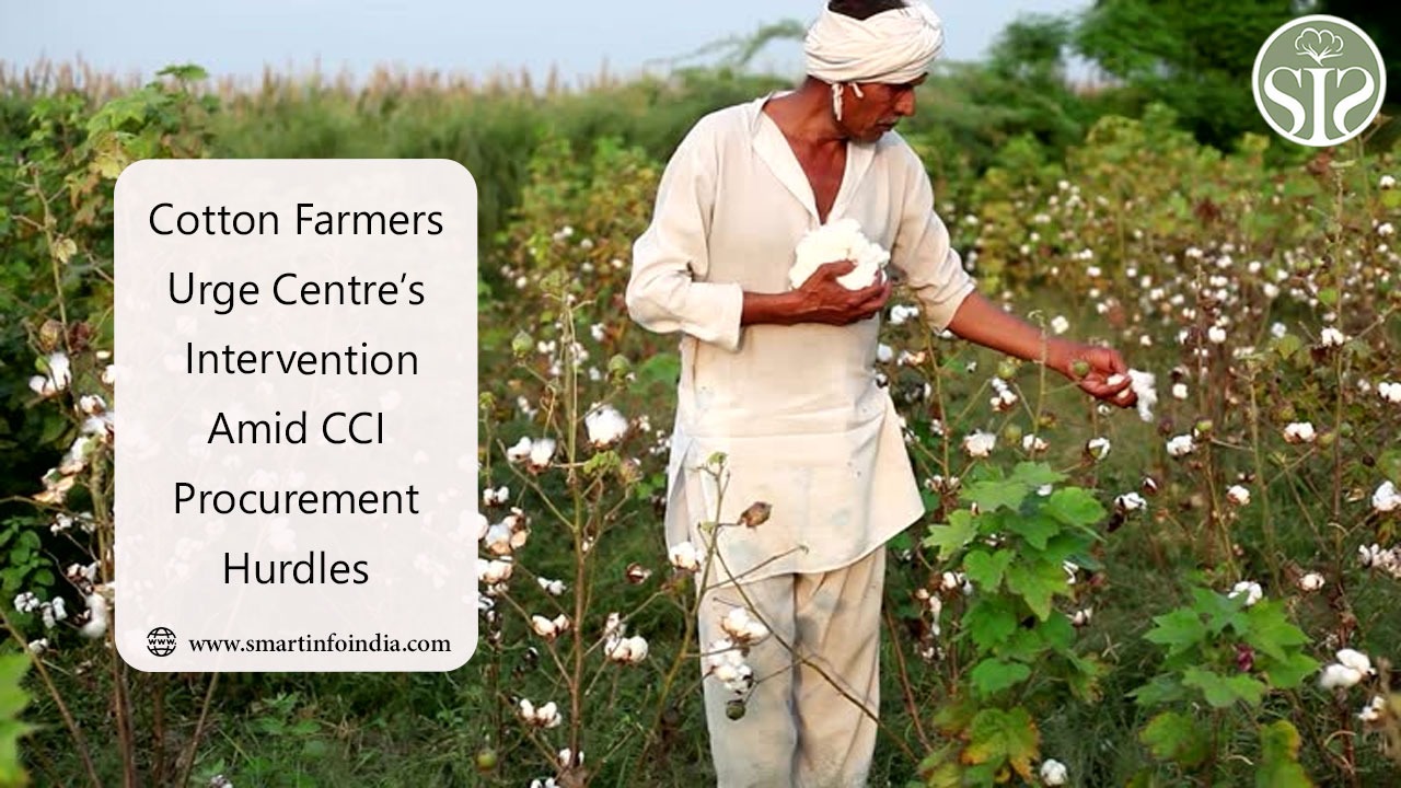 Cotton Farmers Urge Centre’s Intervention Amid CCI Procurement Hurdles