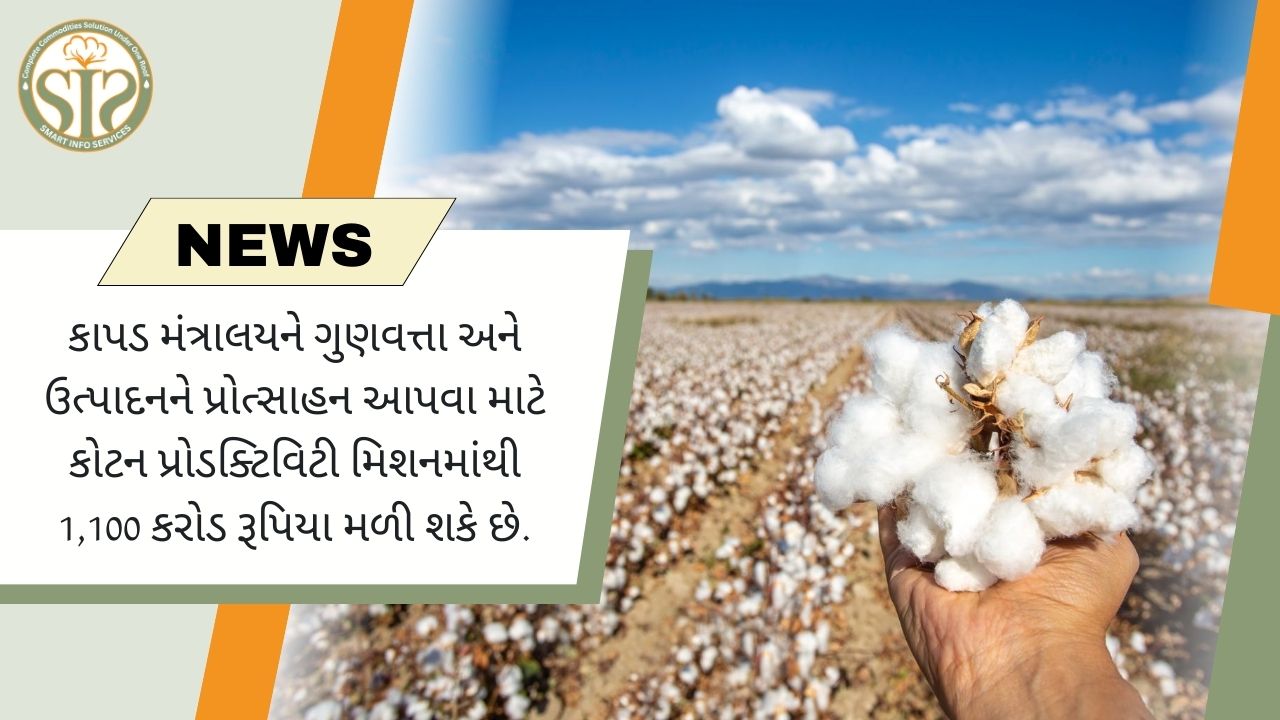 કાપડ મંત્રાલયને ગુણવત્તા અને ઉત્પાદનને પ્રોત્સાહન આપવા માટે કોટન પ્રોડક્ટિવિટી મિશનમાંથી 1,100 કરોડ રૂપિયા મળી શકે છે.