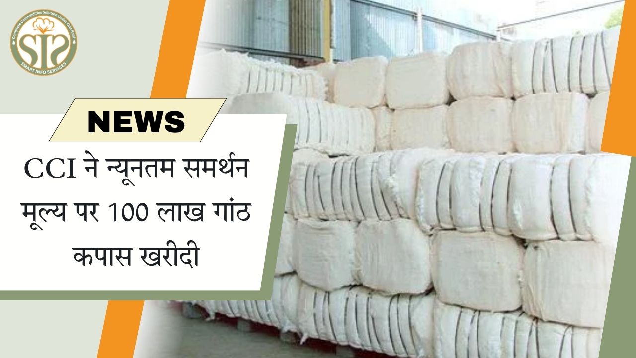 CCI ने न्यूनतम समर्थन मूल्य पर 100 लाख गांठ कपास खरीदी
