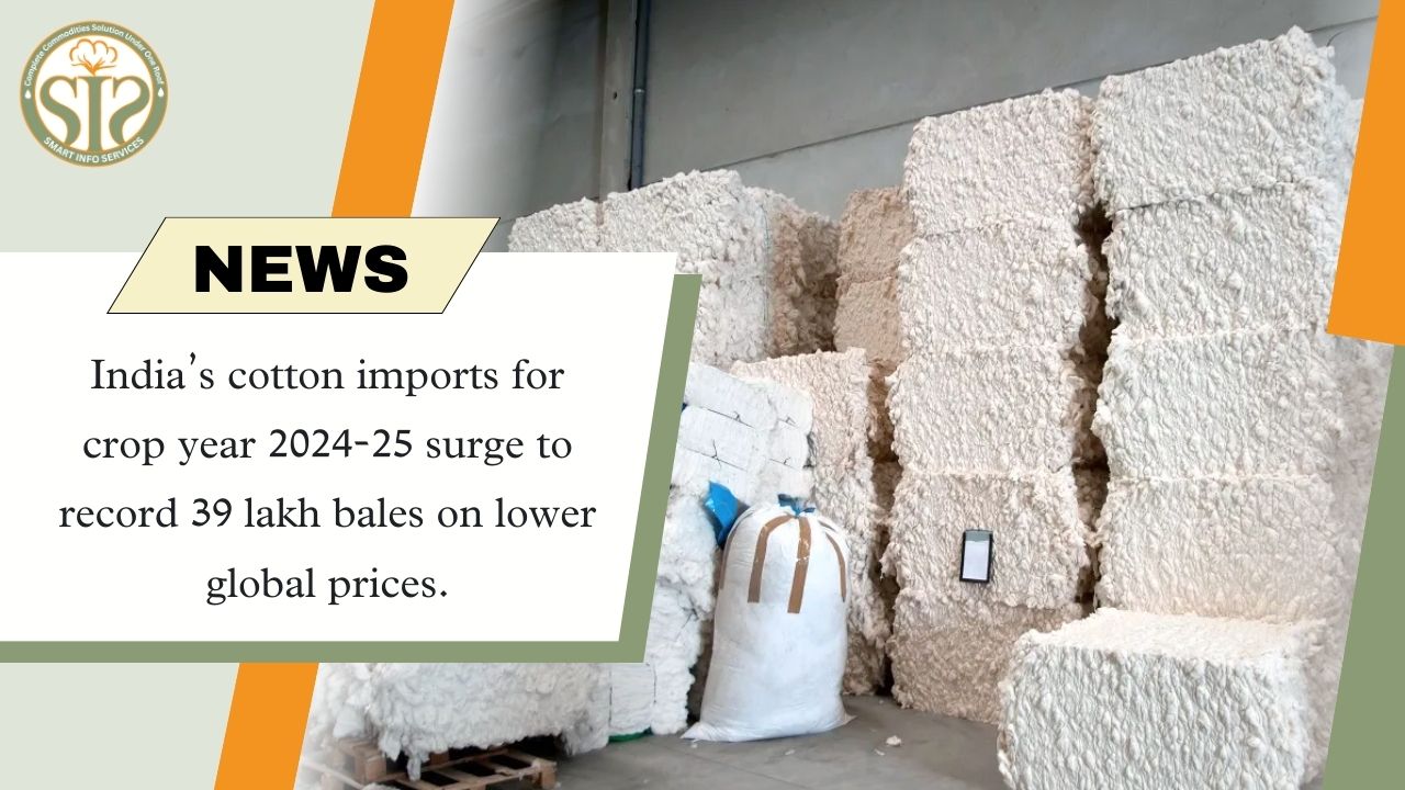 India's cotton imports are set to reach a record 39 lakh bales in 2024-25.