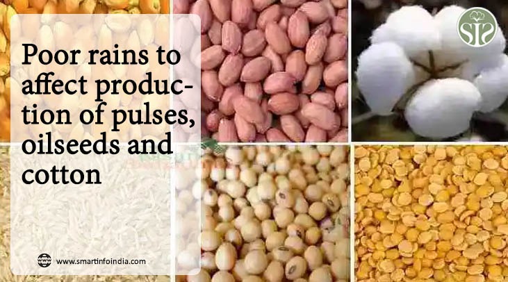 Poor rains to affect production of pulses, oilseeds and cotton