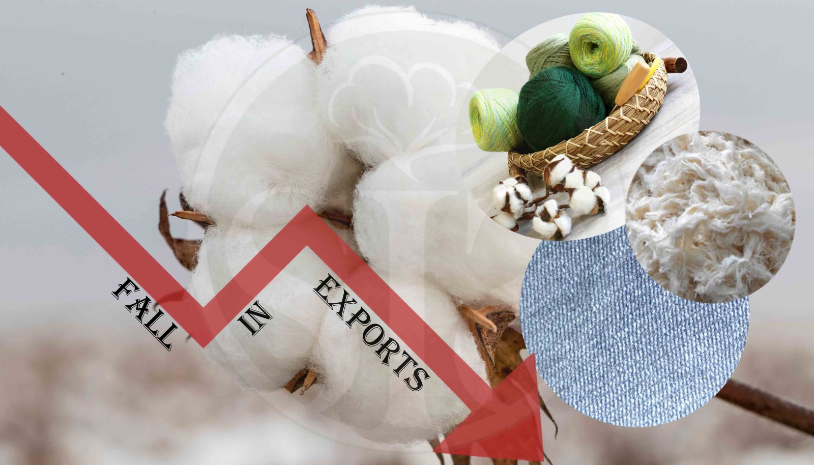 Chapter 52- Exports in the month of March decreased by $ 313 million in 1 year