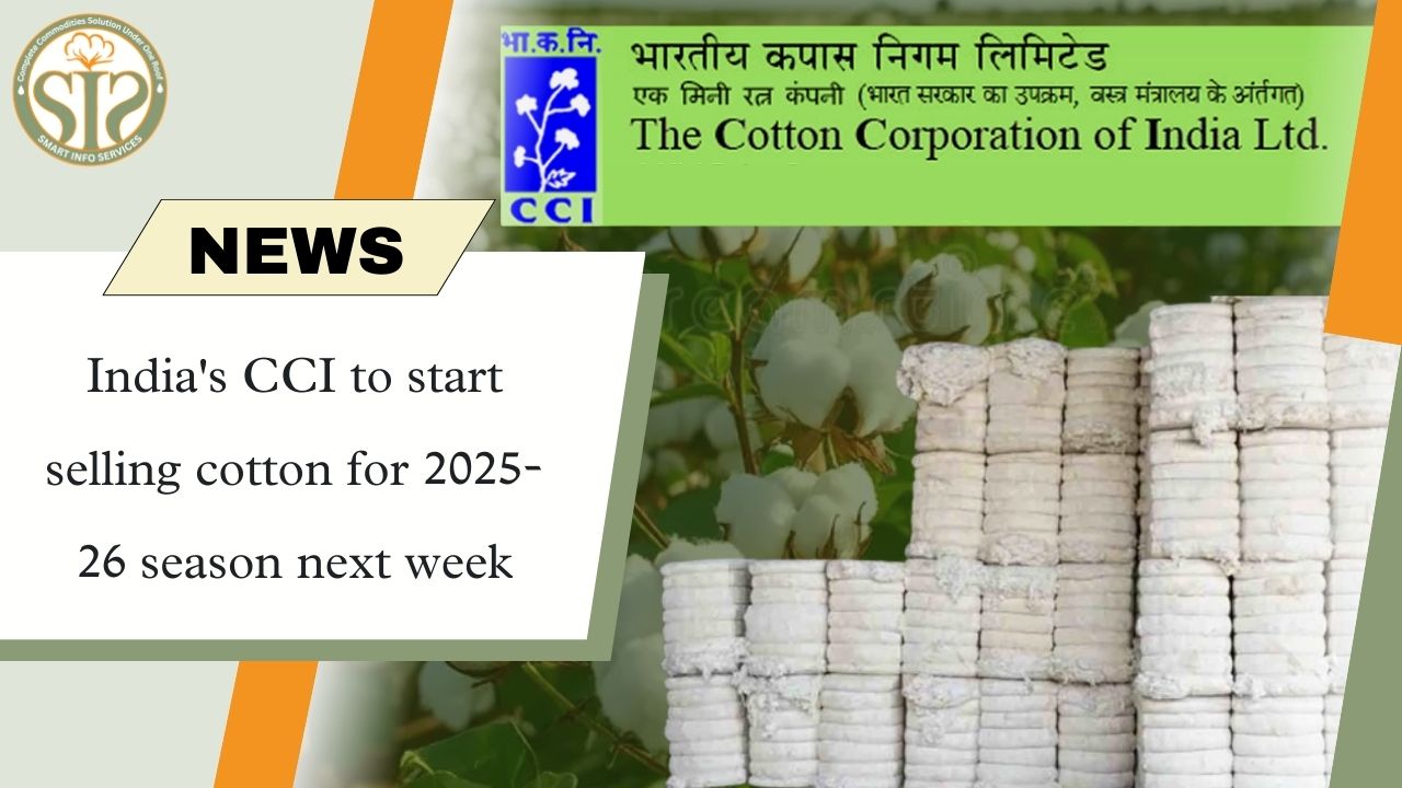 CCI to start cotton sales for 2025-26 season next week