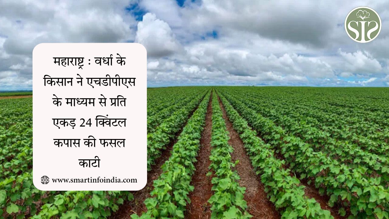 महाराष्ट्र : वर्धा के किसान ने एचडीपीएस के माध्यम से प्रति एकड़ 24 क्विंटल कपास की फसल काटी