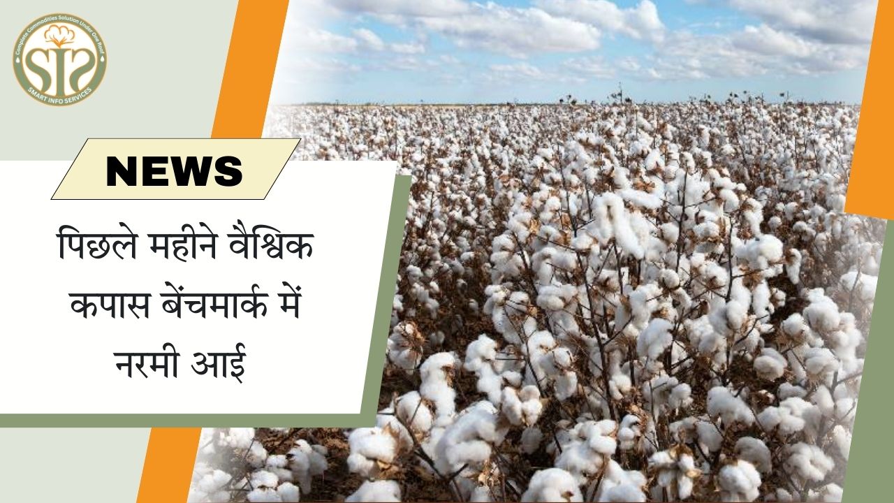 वैश्विक कपास कीमतों में पिछले महीने नरमी