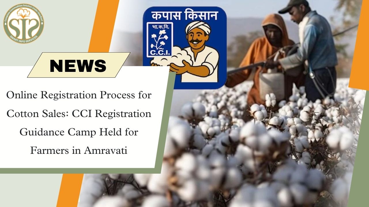 CCI Registration Camp for Cotton Sale in Amravati