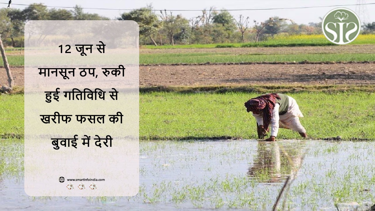 12 जून से मानसून ठप, रुकी हुई गतिविधि से खरीफ फसल की बुवाई में देरी