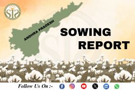 *ANDRA PRADESH Cotton-2025 Season Sowing Report As On 10.09.25*