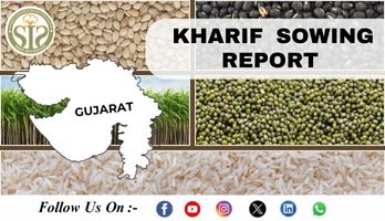 GUJRAT KHARIF SOWING 2025 AS ON 22/09/2025
