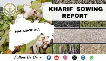 *MAHARASHTRA Kharif-2025 Season Sowing Report As On 19 SEP 2025*
