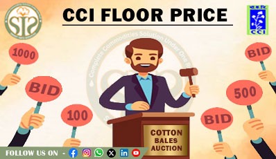 SMART INFO CCI FLOOR PRICE 2023-24 22.MAY.2025