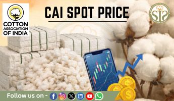 CAI SPOT RATE