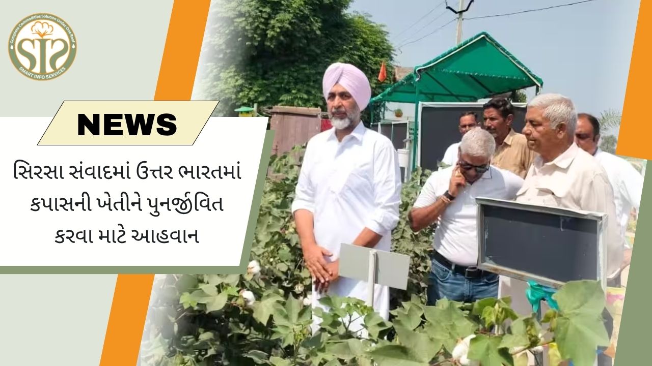 ઉત્તર ભારતમાં કપાસ ખેતીને પુનર્જીવિત કરવા પર ભાર