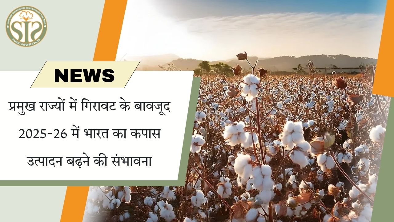 कपास उत्पादन 2025-26 में बढ़ने का अनुमान