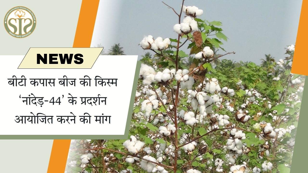 बीटी कपास बीज की किस्म ‘नांदेड़-44’ के प्रदर्शन आयोजित करने की मांग