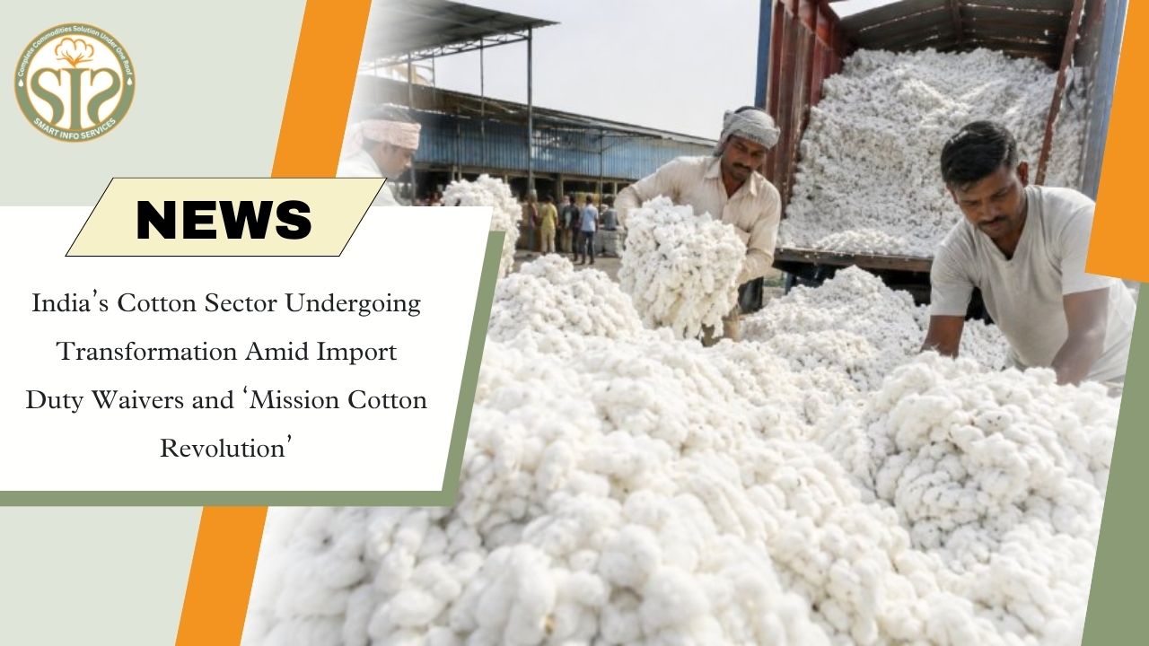 India’s Cotton Sector Enters a New Phase as Import Duty Waiver and Mission Kapas Kranti Drive Policy Shift