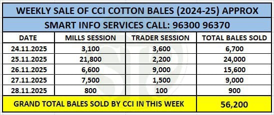 CCI એ કસ્તુરી મોડના ભાવ ઘટાડ્યા, ઈ-ઓક્શનમાં 91% કપાસ વેચ્યો