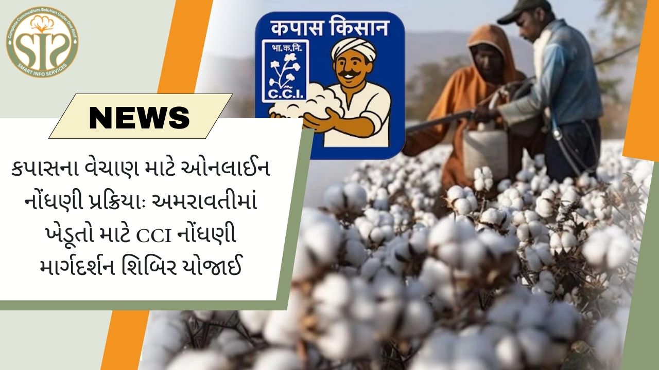 અમરાવતીમાં કપાસના વેચાણ માટે CCI નોંધણી શિબિર