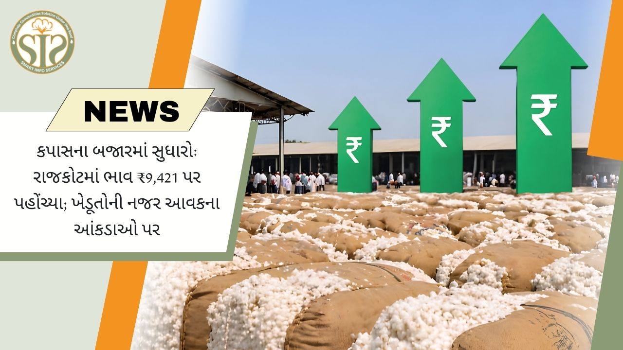 રાજકોટમાં કપાસના ભાવ ₹9,421