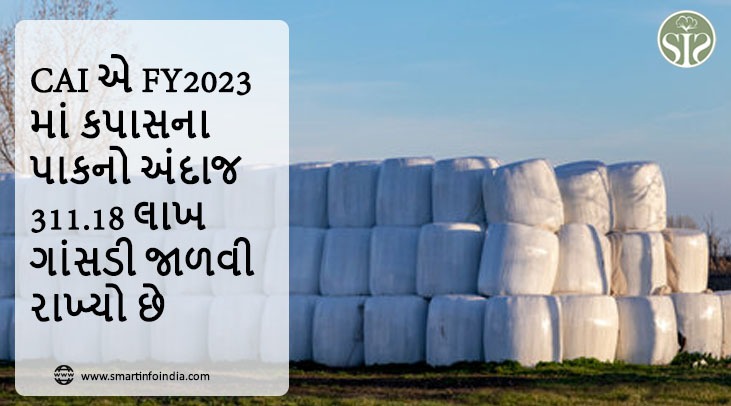 CAIએ FY2023માં કપાસના પાકનો અંદાજ 311.18 લાખ ગાંસડી જાળવી રાખ્યો છે