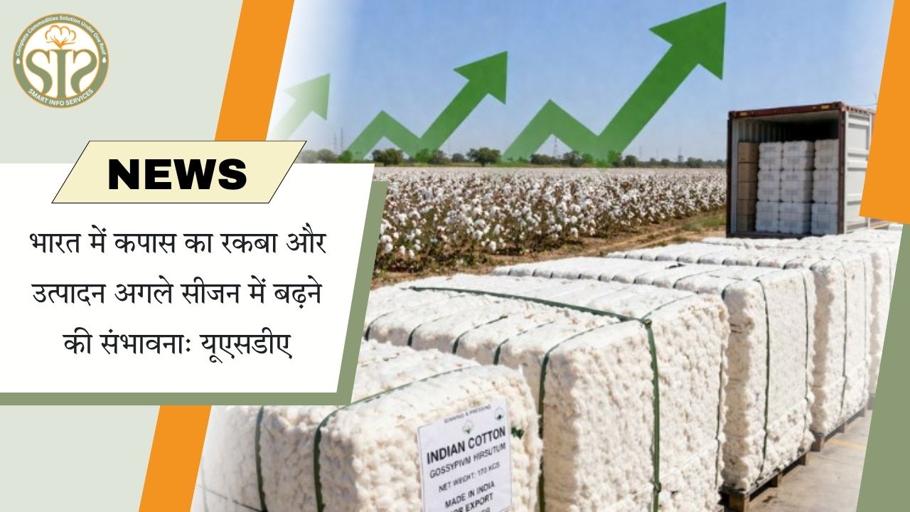 अगले सीजन में भारत में कपास रकबा व उत्पादन बढ़ने की संभावना: यूएसडीए