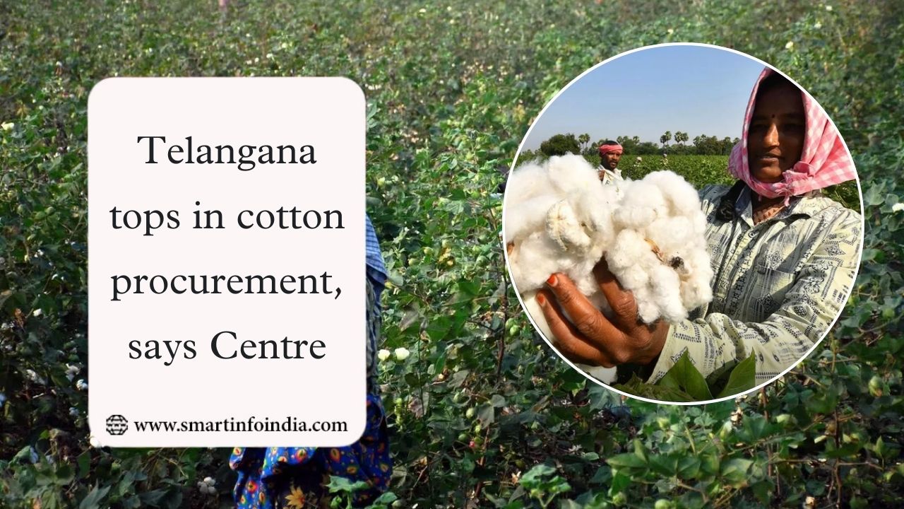 Telangana tops in cotton procurement, says Centre