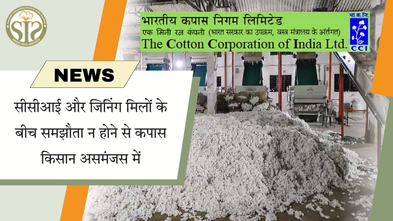 सीसीआई-जिनिंग मिल विवाद से कपास किसान असमंजस में