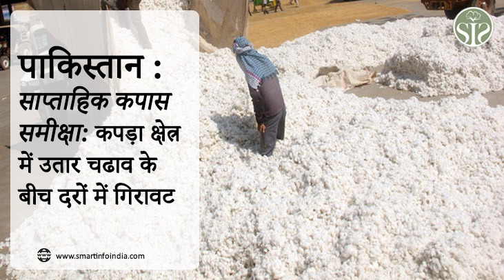पाकिस्तान : साप्ताहिक कपास समीक्षा: कपड़ा क्षेत्र में उतार चढाव के बीच दरों में गिरावट