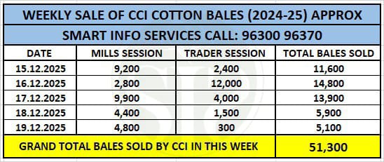 CCI reduced cotton prices, selling 51,300 bales in e-auctions.