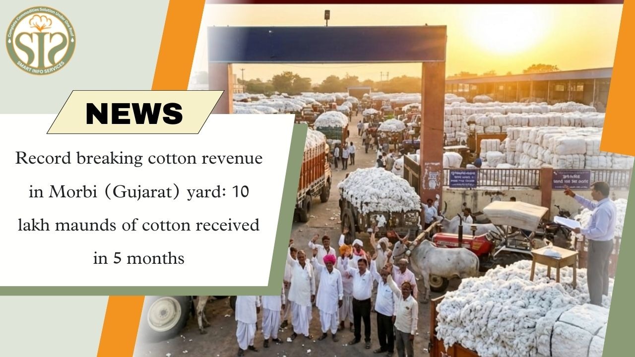 Cotton arrivals in Morbi break records