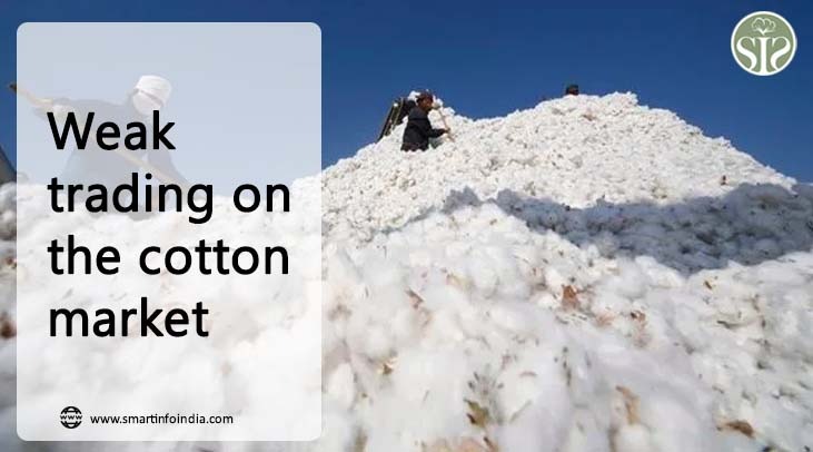 Light trading on cotton market in Pakistan