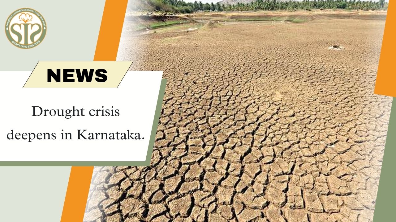 Karnataka Drought Threat Deepens