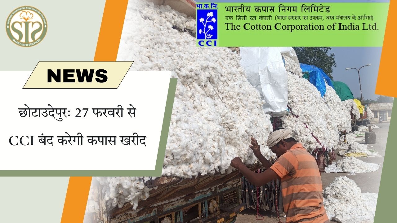 छोटाउदेपुर: 27 फरवरी से CCI बंद करेगी कपास खरीद