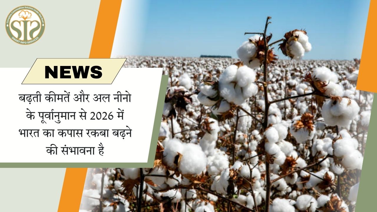 2026 में महंगाई और अल नीनो के चलते कपास रकबा बढ़ने की संभावना