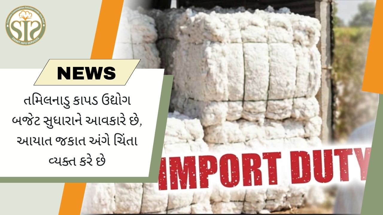તમિલનાડુ: ટેક્સટાઇલ ઉદ્યોગને બજેટમાંથી રાહત મળી, આયાત ડ્યુટી ચિંતાનું કારણ બની