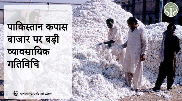 पाकिस्तान कपास बाजार पर बड़ी व्यावसायिक गतिविधि
