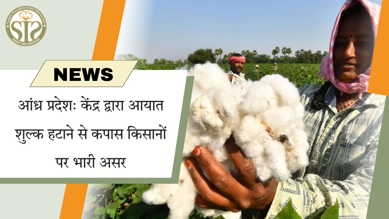 आंध्र प्रदेश: आयात शुल्क हटने से कपास किसानों को झटका