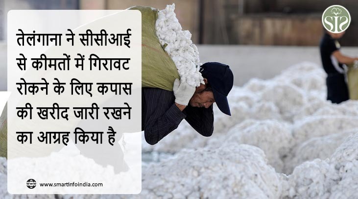 तेलंगाना ने सीसीआई से कीमतों में गिरावट रोकने के लिए कपास की खरीद जारी रखने का आग्रह किया है