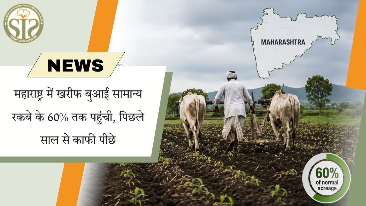 महाराष्ट्र में खरीफ बुवाई सामान्य क्षेत्र के 60% तक पहुंची, पिछले साल से काफी पीछे