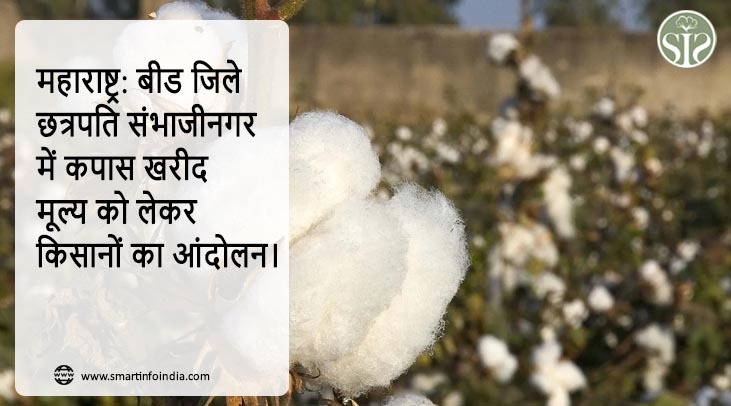 *महाराष्ट्र: बीड जिले छत्रपति संभाजीनगर में कपास खरीद मूल्य को लेकर किसानों का आंदोलन।*
